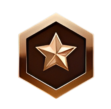 Bronze Icon