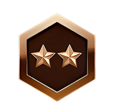 Bronze Icon