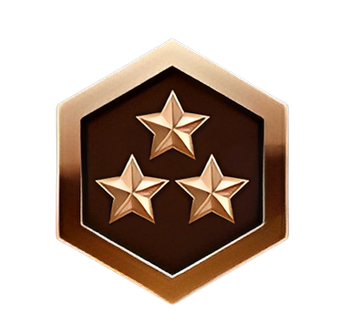 Bronze Icon