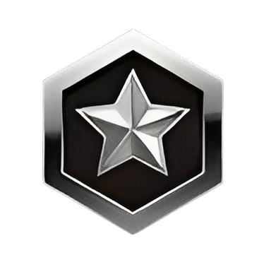 Silver Icon