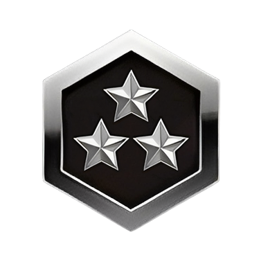 Silver Icon